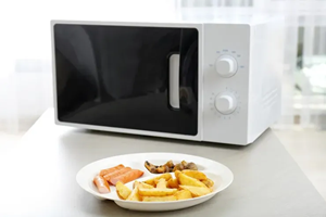 microwave mini