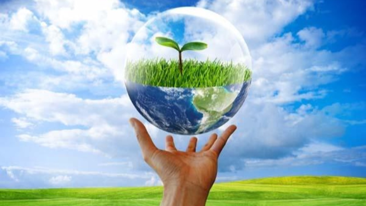 Membangun Masa Depan Berkelanjutan dengan Eco Green Living